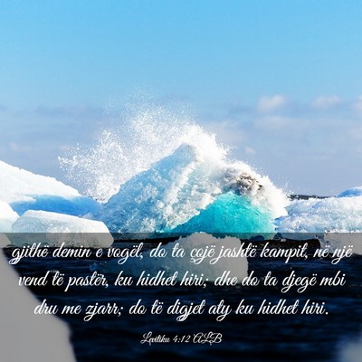 Picture 03 - Levitiku 4:12 ALB - gjithë demin e vogël, do ta çojë jashtë - Bible Verse Picture