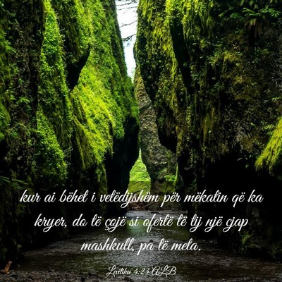 Picture 03 - Levitiku 4:23 ALB - kur ai bëhet i vetëdijshëm për mëkatin që - Bible Verse Picture