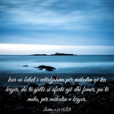 Picture 03 - Levitiku 4:28 ALB - kur ai bëhet i vetëdijshëm për mëkatin që - Bible Verse Picture