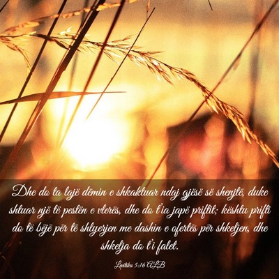 Picture 03 - Levitiku 5:16 ALB - Dhe do ta lajë dëmin e shkaktuar ndaj gjësë - Bible Verse Picture
