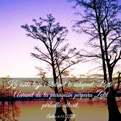Picture 03 - Levitiku 6:14 ALB - Ky është ligji i blatimit të ushqimit. Bijtë - Bible Verse Picture