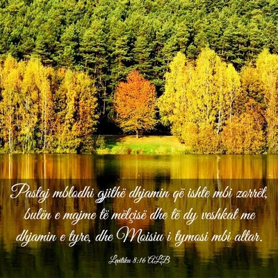 Picture 03 - Levitiku 8:16 ALB - Pastaj mblodhi gjithë dhjamin që ishte mbi - Bible Verse Picture