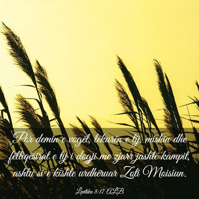 Picture 03 - Levitiku 8:17 ALB - Por demin e vogël, lëkurën e tij, mishin dhe - Bible Verse Picture