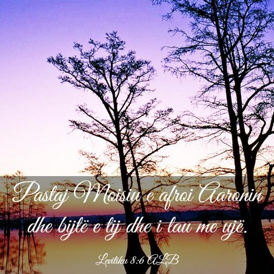 Picture 03 - Levitiku 8:6 ALB - Pastaj Moisiu e afroi Aaronin dhe bijtë e tij - Bible Verse Picture