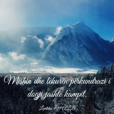 Picture 03 - Levitiku 9:11 ALB - Mishin dhe lëkurën përkundrazi i dogji jashtë - Bible Verse Picture