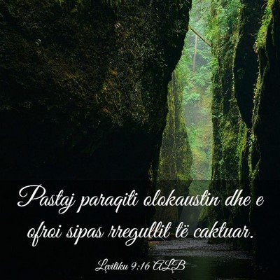 Picture 03 - Levitiku 9:16 ALB - Pastaj paraqiti olokaustin dhe e ofroi sipas - Bible Verse Picture