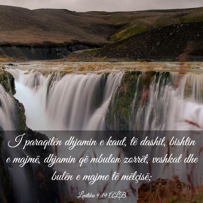 Picture 03 - Levitiku 9:19 ALB - I paraqitën dhjamin e kaut, të dashit, bishtin - Bible Verse Picture