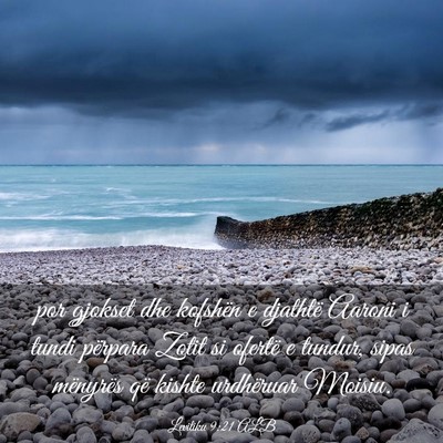 Picture 03 - Levitiku 9:21 ALB - por gjokset dhe kofshën e djathtë Aaroni i - Bible Verse Picture