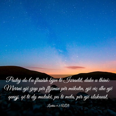 Picture 03 - Levitiku 9:3 ALB - Pastaj do t’u flasësh bijve të Izraelit, duke - Bible Verse Picture