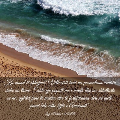 Picture 03 - Ligji i Përtërirë 1:28 ALB - Ku mund të shkojmë? Vëllezërit tonë na - Bible Verse Picture