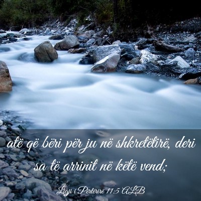 Picture 03 - Ligji i Përtërirë 11:5 ALB - atë që bëri për ju në shkretëtirë, deri sa - Bible Verse Picture