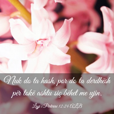 Picture 03 - Ligji i Përtërirë 12:24 ALB - Nuk do ta hash, por do ta derdhësh për tokë - Bible Verse Picture