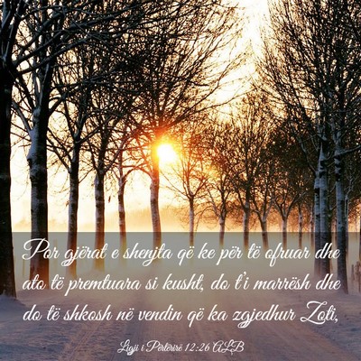 Picture 03 - Ligji i Përtërirë 12:26 ALB - Por gjërat e shenjta që ke për të ofruar dhe - Bible Verse Picture
