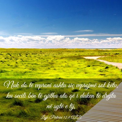 Picture 03 - Ligji i Përtërirë 12:8 ALB - Nuk do të veproni ashtu siç veprojmë sot - Bible Verse Picture