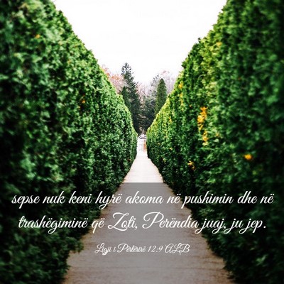 Picture 03 - Ligji i Përtërirë 12:9 ALB - sepse nuk keni hyrë akoma në pushimin dhe në - Bible Verse Picture