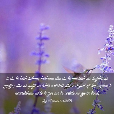 Picture 03 - Ligji i Përtërirë 13:14 ALB - ti do të bësh hetime, kërkime dhe do të - Bible Verse Picture