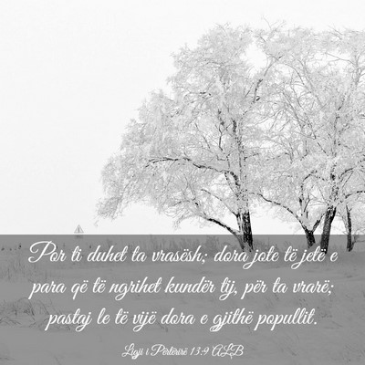 Picture 03 - Ligji i Përtërirë 13:9 ALB - Por ti duhet ta vrasësh; dora jote të jetë e - Bible Verse Picture