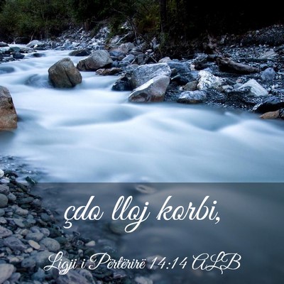 Picture 03 - Ligji i Përtërirë 14:14 ALB - çdo lloj - Bible Verse Picture