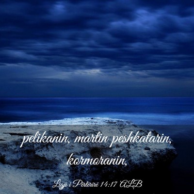 Picture 03 - Ligji i Përtërirë 14:17 ALB - pelikanin, martin peshkatarin, - Bible Verse Picture