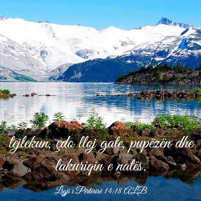 Picture 03 - Ligji i Përtërirë 14:18 ALB - lejlekun, çdo lloj gate, pupëzën dhe lakuriqin - Bible Verse Picture