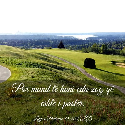 Picture 03 - Ligji i Përtërirë 14:20 ALB - Por mund të hani çdo zog që është i - Bible Verse Picture