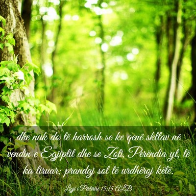 Picture 03 - Ligji i Përtërirë 15:15 ALB - dhe nuk do të harrosh se ke qenë skllav në - Bible Verse Picture