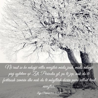 Picture 03 - Ligji i Përtërirë 15:7 ALB - Në rast se ke ndonjë vëlla nevojtar midis - Bible Verse Picture