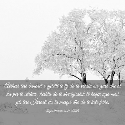 Picture 03 - Ligji i Përtërirë 21:21 ALB - Atëherë tërë banorët e qytetit të tij do ta - Bible Verse Picture