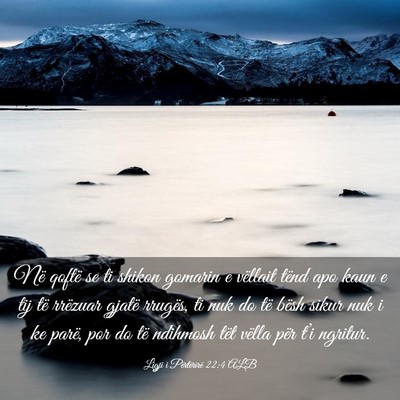 Picture 03 - Ligji i Përtërirë 22:4 ALB - Në qoftë se ti shikon gomarin e vëllait tënd - Bible Verse Picture