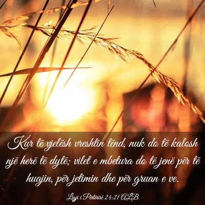 Picture 03 - Ligji i Përtërirë 24:21 ALB - Kur të vjelësh vreshtin tënd, nuk do të - Bible Verse Picture