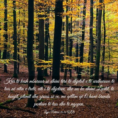 Picture 03 - Ligji i Përtërirë 26:12 ALB - Kur të kesh mbaruar së dhëni tërë të - Bible Verse Picture