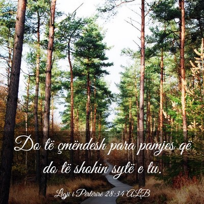 Picture 03 - Ligji i Përtërirë 28:34 ALB - Do të çmëndesh para pamjes që do të shohin - Bible Verse Picture