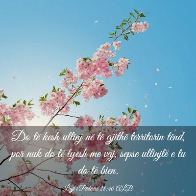Picture 03 - Ligji i Përtërirë 28:40 ALB - Do të kesh ullinj në të gjithë territorin - Bible Verse Picture