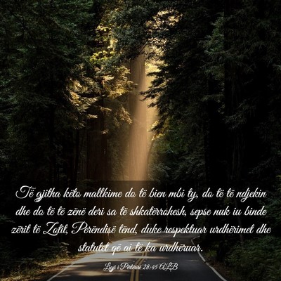 Picture 03 - Ligji i Përtërirë 28:45 ALB - Të gjitha këto mallkime do të bien mbi ty, do - Bible Verse Picture