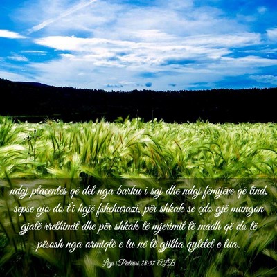 Picture 03 - Ligji i Përtërirë 28:57 ALB - ndaj placentës që del nga barku i saj dhe ndaj - Bible Verse Picture
