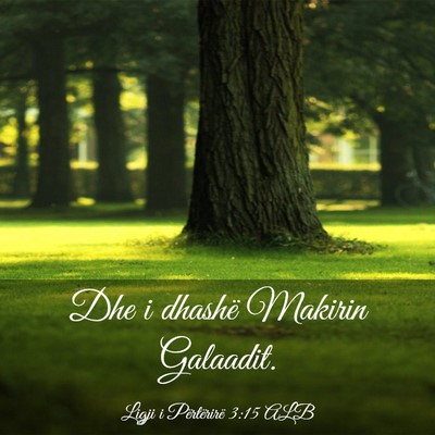 Picture 03 - Ligji i Përtërirë 3:15 ALB - Dhe i dhashë Makirin - Bible Verse Picture