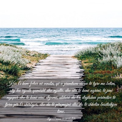 Picture 03 - Ligji i Përtërirë 31:20 ALB - Kur t’i kem futur në vendin, që u premtova - Bible Verse Picture