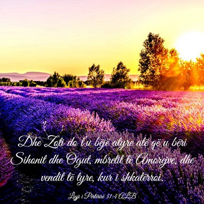 Picture 03 - Ligji i Përtërirë 31:4 ALB - Dhe Zoti do t’u bëjë atyre atë që u bëri - Bible Verse Picture