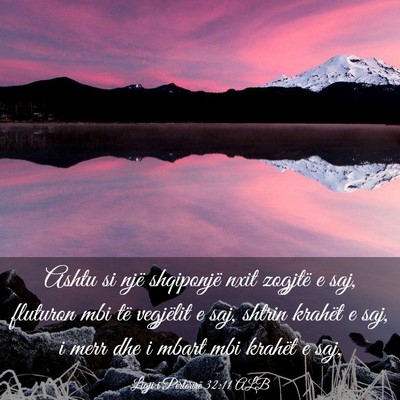 Picture 03 - Ligji i Përtërirë 32:11 ALB - Ashtu si një shqiponjë nxit zogjtë e saj, - Bible Verse Picture
