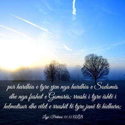 Picture 03 - Ligji i Përtërirë 32:32 ALB - por hardhia e tyre vjen nga hardhia e Sodomës - Bible Verse Picture