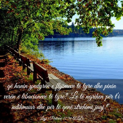 Picture 03 - Ligji i Përtërirë 32:38 ALB - që hanin yndyrën e flijimeve të tyre dhe pinin - Bible Verse Picture