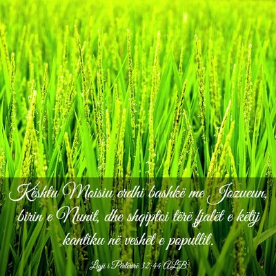 Picture 03 - Ligji i Përtërirë 32:44 ALB - Kështu Moisiu erdhi bashkë me Jozueun, birin e - Bible Verse Picture