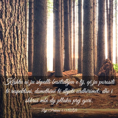 Picture 03 - Ligji i Përtërirë 4:13 ALB - Kështu ai ju shpalli besëlidhjen e tij, që ju - Bible Verse Picture