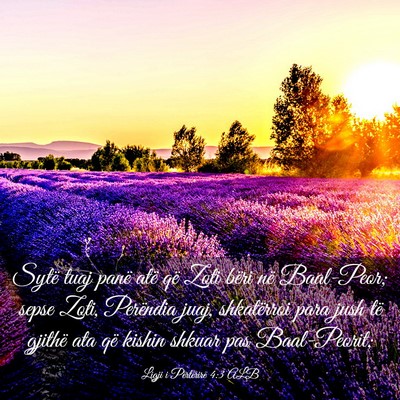 Picture 03 - Ligji i Përtërirë 4:3 ALB - Sytë tuaj panë atë që Zoti bëri në - Bible Verse Picture