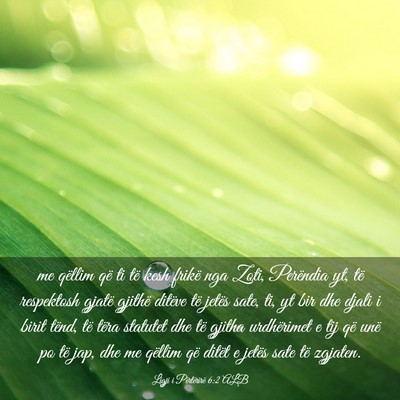 Picture 03 - Ligji i Përtërirë 6:2 ALB - me qëllim që ti të kesh frikë nga Zoti, - Bible Verse Picture