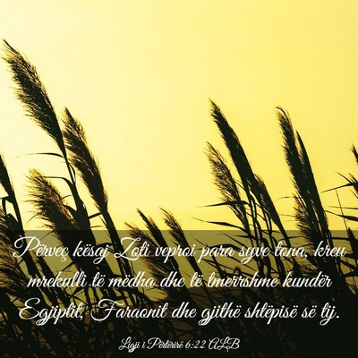 Picture 03 - Ligji i Përtërirë 6:22 ALB - Përveç kësaj Zoti veproi para syve tona, kreu - Bible Verse Picture