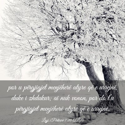 Picture 03 - Ligji i Përtërirë 7:10 ALB - por u përgjigjet menjëherë atyre që e - Bible Verse Picture