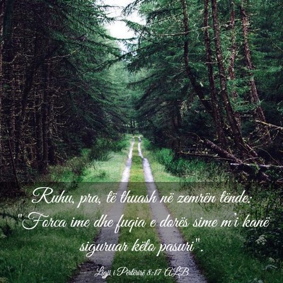 Picture 03 - Ligji i Përtërirë 8:17 ALB - Ruhu, pra, të thuash në zemrën tënde: 