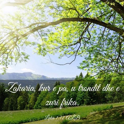 Picture 03 - Luka 1:12 ALB - Zakaria, kur e pa, u trondit dhe e zuri - Bible Verse Picture