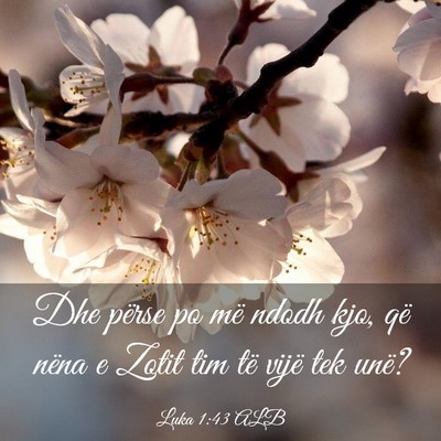 Picture 03 - Luka 1:43 ALB - Dhe përse po më ndodh kjo, që nëna e Zotit - Bible Verse Picture